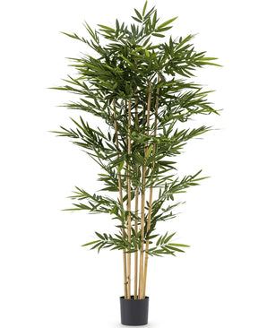 Plante artificielle Bambou 210 cm