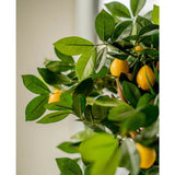 Een close-up van de Kunstplant citroenboom 75 cm, met weelderige groene bladeren en levendige gele citroenen, binnen geplaatst in elegante sierpotten met zacht natuurlijk licht op de achtergrond.
