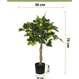 Kunstplant citroenboom 75 cm met groene bladeren en nep citroenen in een zwarte sierpot (13x11 cm). Hoogte: 75 cm, breedte: 30 cm. Met Green Easyplants-logo onderaan.