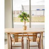 Een lichte houten tafel met twee bijpassende stoelen staat op een rond kleed bij een groot raam. Een Kunstplant citroenboom 75 cm siert het midden van de tafel en voegt charme toe aan het lichte, minimalistische tafereel.