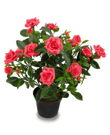 Kunstplant mini rose 35 cm