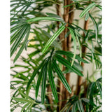 Close-up van levendige groene bladeren en lange, slanke bladeren van de Lady Kunstpalm 210 cm, tegen een zacht vervaagde achtergrond, die de weelderige en tropische uitstraling van deze kunstpalm laat zien.