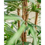 Close-up van de Lady Kunstpalm 210 cm, met de groene, lange smalle bladeren en donzige bruine stengels tegen een zacht vage lichte achtergrond.