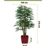 Dame Kunstpalm 210 cm: Deze indrukwekkend realistische kunstmatige Rhapis Palm is 210 cm hoog en 100 cm breed in een opvallende rode pot (14 cm hoog, 18 cm breed) - een perfecte keuze voor stijlvolle ruimtes binnenshuis.