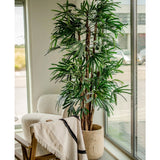 De Lady Kunstpalm 210 cm, met zijn lange, smalle groene bladeren, staat bij grote ramen in een lichte kamer. Een witte fauteuil en een houten stoel gedrapeerd met een lichte deken in de buurt creëren een uitnodigende sfeer.