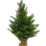 De Kunstkerstboom Mini "Munchi" 60 cm 100% PE - Smart LED is een kleine groene kunstkerstboom met real-touch naalden, een met jute omwikkelde voet en staat rechtop tegen een effen witte achtergrond.
