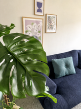 Een Kunstplant Monstera 120 cm staat prominent vooraan. Daarachter staat een donkerblauwe bank met een lichtblauw kussen tegen een beige muur met drie ingelijste kunstwerken.