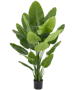 kunstplanten