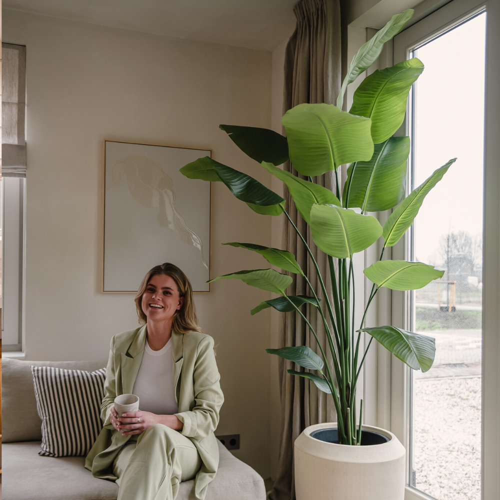 Kunstplant_strelitzia_180cm_realtouch