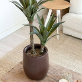 Een Kunstplant Agave van 76 cm, met twee lange stengels en groene, puntige bladeren, staat op een houten salontafel in een gezellige woonkamer met een crèmekleurige bank, een rond bijzettafeltje en een neutrale inrichting.