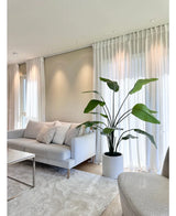 Een moderne woonkamer met een lichtgrijze bank, witte kussens, de Kunstplant Strelitzia Real Touch kant en klaar in pot beige 180 cm, transparante witte gordijnen, een beige vloerkleed en zacht natuurlijk licht dat door de ramen naar binnen valt.
