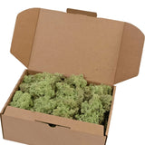 Een open bruin kartonnen doosje bevat 500 gram Rendier Mos Mint, gevuld met een laagje lichtgroen mos binnenin.