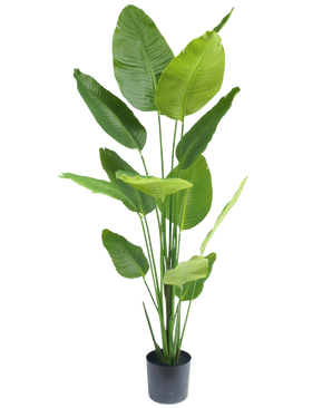 Plante artificielle Strelitzia 180 cm real touch