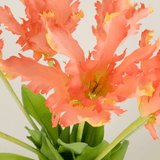 Zijden kunstbloemen boeket Franse Parkiet Tulp koraal