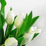 Een close-up van het Zijden kunstboeket Tulpen in vaas Wit toont frisse, levendige witte tulpenbloemen met groene bladeren tegen een zachte, onscherpe lichtgrijze achtergrond. De tulpen zijn gedeeltelijk gesloten en prachtig levensecht.