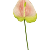 Een enkele Kunstbloem Anthurium van 68 cm in roze, met een delicate roze en groene bloem op een lange groene steel, komt prachtig tot zijn recht tegen een witte achtergrond. Deze elegante kunstbloem is ideaal voor iedereen die op zoek is naar roze kunstbloemen of hoogwaardige zijden bloemen om zijn of haar interieur een extra dimensie te geven.