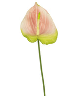 Een enkele Kunstbloem Anthurium van 68 cm in roze, met een delicate roze en groene bloem op een lange groene steel, komt prachtig tot zijn recht tegen een witte achtergrond. Deze elegante kunstbloem is ideaal voor iedereen die op zoek is naar roze kunstbloemen of hoogwaardige zijden bloemen om zijn of haar interieur een extra dimensie te geven.