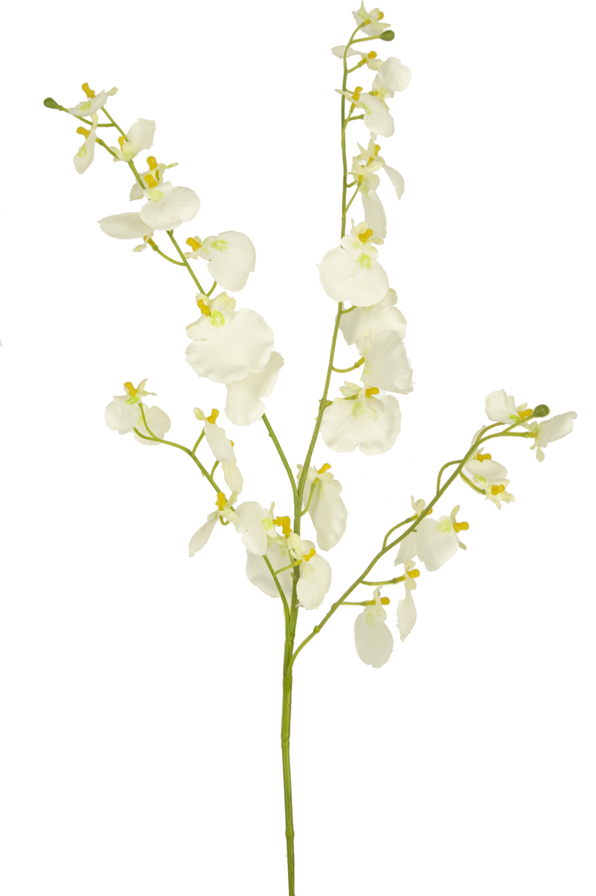 80 cm Kunsttijgerorchidee wit, een kunstmatige tijgerorchidee met witte bloemen en gele hartjes.