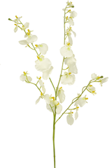 80 cm Kunsttijgerorchidee wit, een kunstmatige tijgerorchidee met witte bloemen en gele hartjes.