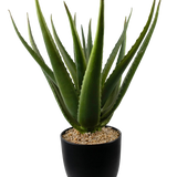 Een close-up van de Kunstplant Aloë Vera 45 cm toont dikke, groene, stekelige bladeren in een zwarte pot gevuld met kleine lichtbruine kiezels.