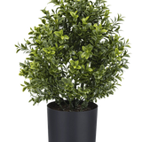 De Kunstplant Buxus Romeinse stijl UV 36cm is een compacte kunstplant in pot met dicht groen gebladerte, weergegeven in een eenvoudige zwarte ronde plantenbak tegen een effen witte achtergrond.