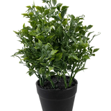 De Kunstplant Grape 25 cm is een weelderige, groene kunstplant met dichte, puntige bladeren in een zwarte plantenbak tegen een effen witte achtergrond.