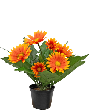 De Kunstplant Gerbera 28 cm oranje is een kleine zwarte pot met kunstmatige oranje en gele margrietachtige bloemen en groene bladeren tegen een witte achtergrond.