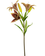 De Kunstbloem Aziatische Lelie 66 cm oud roze heeft een enkele steel met drie bloeiende kastanjebruine en gele lelies en groene bladeren, geïsoleerd op een witte achtergrond.