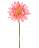 De Kunstbloem Gerbera 55 cm roze is een enkele kunstmatige roze gerbera met een groene steel, geel hart en gelaagde bloemblaadjes, geïsoleerd afgebeeld op een witte achtergrond.