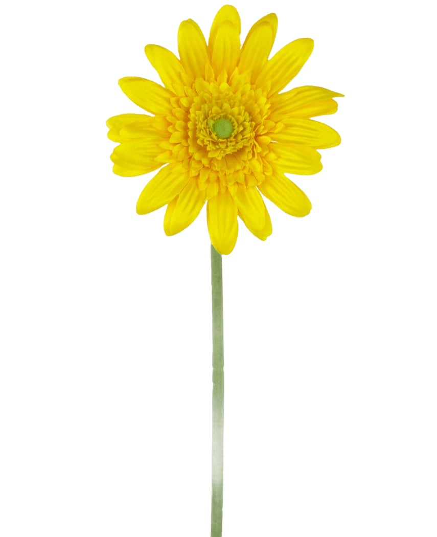 De Kunstbloem Gerbera 53 cm geel is een enkele gele kunstmargriet met een groen hart en een lange groene steel, tegen een effen witte achtergrond.