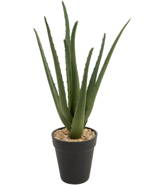 De Kunstplant Aloë Vera 33 cm heeft lange, piekerige groene bladeren die omhoog groeien, in kleine steentjes in een strakke zwarte pot, tegen een witte achtergrond.