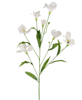 De Kunstrododendron Azalea Real Touch Wit 80cm heeft een enkele steel met meerdere witte kunstbloemen en groene bladeren.