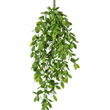 De Kunst hangplant Gardenia 61 cm is een kunst hangplant met weelderige, groene bladeren en een enkele zichtbare stengel, tegen een effen witte achtergrond.
