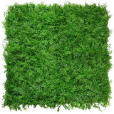 De Kunsthaag varen/conifeer 50x50 cm is een dichte, vierkante mat van levendig groen gebladerte met kleine blaadjes, van bovenaf gezien op een witte achtergrond, die lijkt op een weelderige, natuurlijke groene haag met een gelijkmatig, gestructureerd oppervlak.