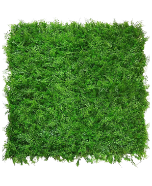 De Kunsthaag varen/conifeer 50x50 cm is een dicht vierkant paneel van heldergroen kunstgroen met dicht op elkaar staande kleine blaadjes, dat lijkt op een verticale tuin of groene haag, perfect als decoratief groen op elke witte achtergrond.