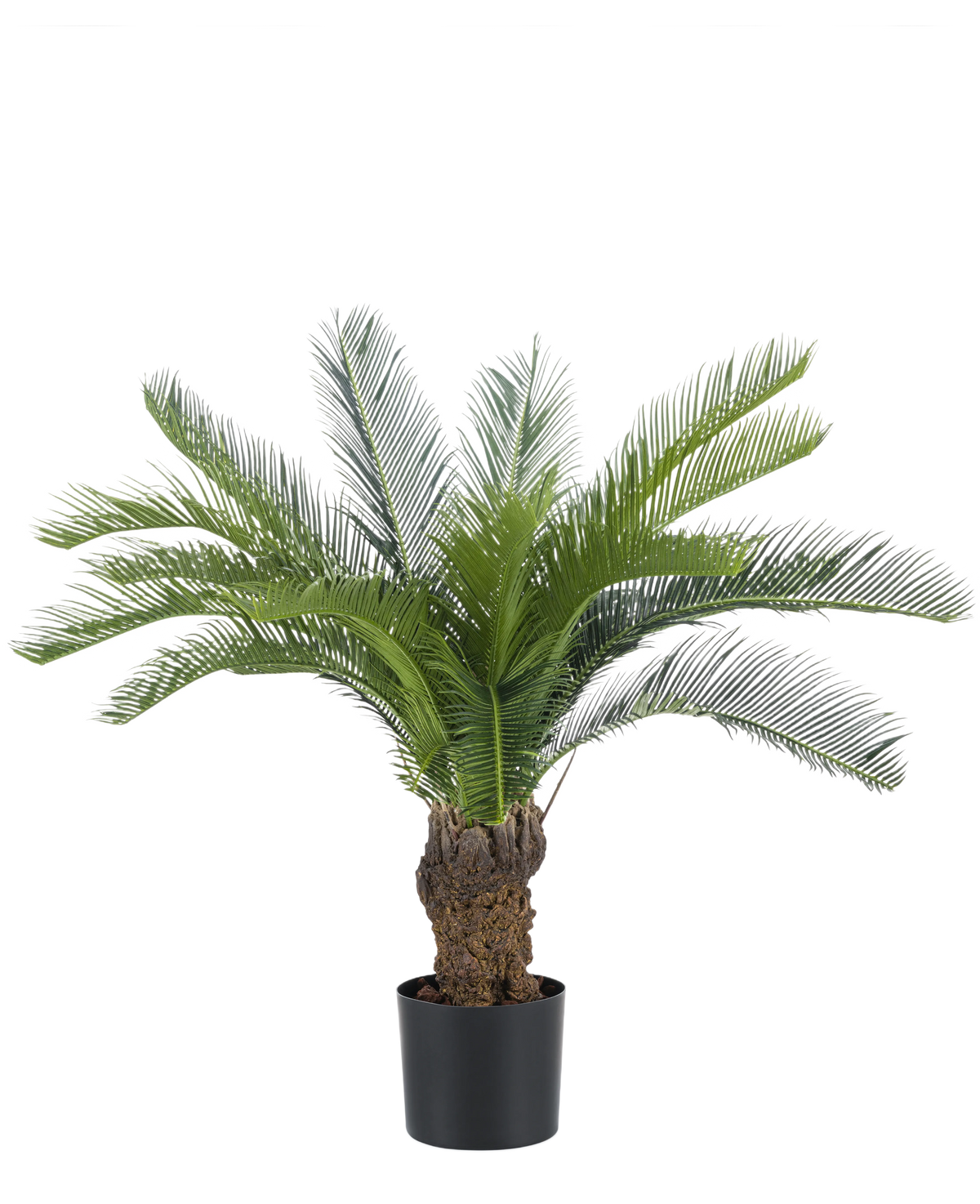De Kunstplant Cycaspalm 80 cm heeft lange, gebogen groene palmvaren en een dikke, gestructureerde stam. De plant staat in een eenvoudige zwarte pot tegen een effen witte achtergrond.