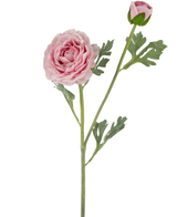 De Kunstranonkel Real Touch Roze 60cm heeft een enkele roze ranonkel met gelaagde bloemblaadjes en een gesloten knop op een groene steel met bladgroen, geïsoleerd op een witte achtergrond.