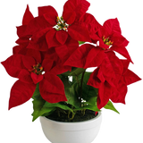 De Kunstplant Kerstster 44 cm rood is een witte pot met een kerststerplant met levendige rode, stervormige bladeren en groen blad tegen een effen witte achtergrond.