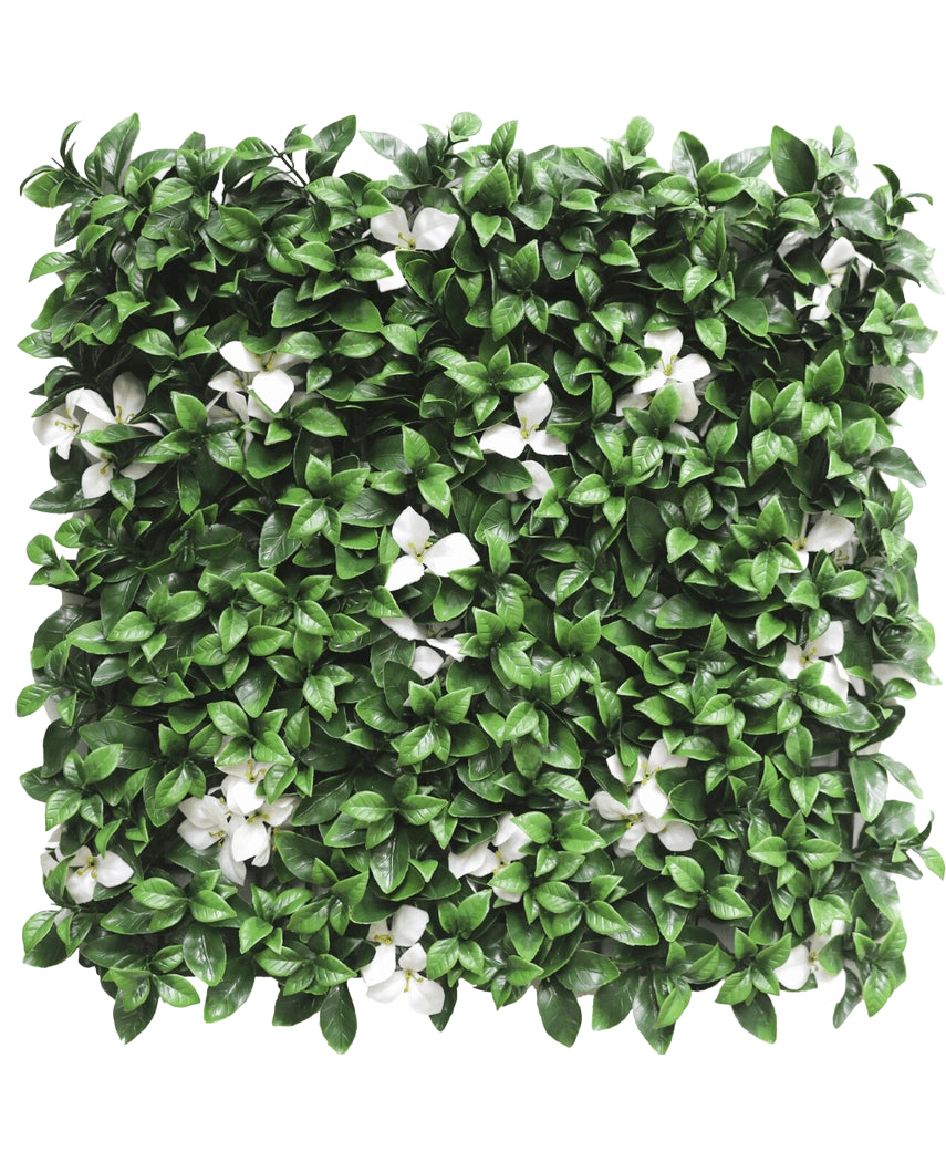 De Kunsthaag Gardenia met witte bloem 50x50 cm UV is een vierkant paneel met dichte groene bladeren en verspreide witte bloemen tegen een witte achtergrond.
