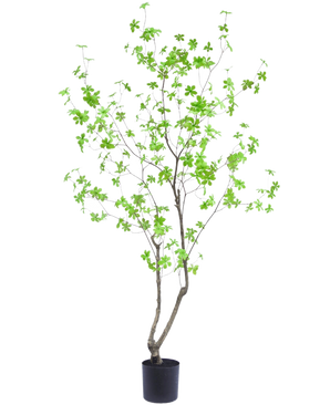 De Kunstplant Enkianthus 180 cm heeft slanke, vertakkende stengels en kleine, heldergroene bladeren tegen een effen witte achtergrond.