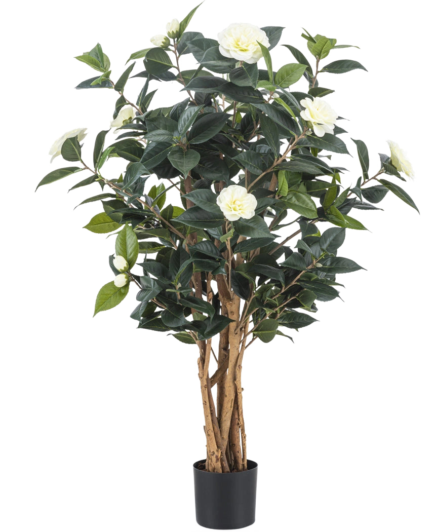 De Kunstplant Camellia japonica 100 cm heeft meerdere hoge bruine stelen, donkergroene bladeren en witte kunstbloemen tegen een effen witte achtergrond.