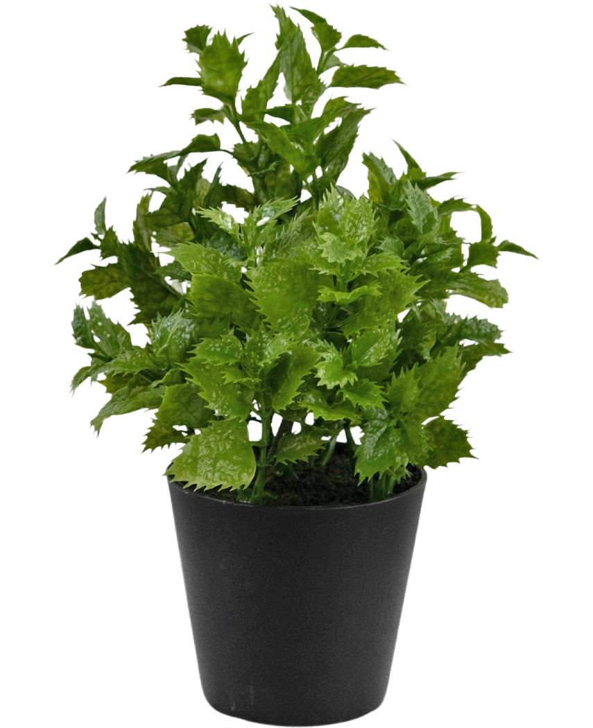 Kunstplant Perilla 25 cm: Een levendige groene bladplant met gekartelde randen in een eenvoudige zwarte pot, perfect om een vleugje natuur toe te voegen aan elke kamer.