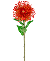 Een Kunstbloem Protea 73 cm rood, met een enkele rode bloem met lange groene steel en bladeren, geïsoleerd op een witte achtergrond.