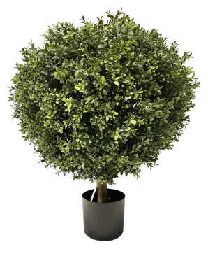 Kunst Buxus op stam UV d60 cm: Decoratieve kunstvorm met dicht rond groen gebladerte in een zwarte pot, weergegeven op een witte achtergrond. Een UV-logo met zonnepictogram linksboven geeft aan dat het product UV-bestendig is.
