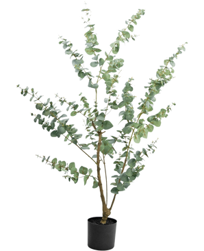 De Kunstplant Eucalyptus 150 cm heeft meerdere hoge, slanke takken met ronde, zilvergroene bladeren tegen een effen witte achtergrond.