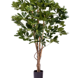 De Kunstplant Schefflera 120 cm is een hoge kunstplant met weelderige groene bladeren en meerdere slanke bruine stammen in een kleine zwarte pot, perfect voor het decoreren van elke ruimte.