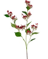 De Kunstbloem Wilde Hydrangea 86 cm rood heeft een enkele hoge steel met trossen kleine, donkerrode bloemen en enkele groene bladeren, tegen een witte achtergrond.