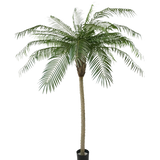 De Kunstpalm Phoenix De Luxe 210 cm heeft lange, gebogen groene bladeren en een gestructureerde stam, in een kleine zwarte pot tegen een effen witte achtergrond.