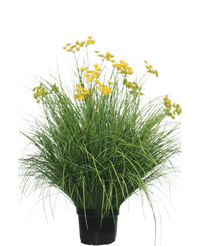 Plante de gazon artificiel Asteraceae 100 cm ignifuge