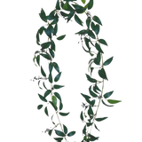 De Kunst Smilax Slinger 180cm is een krans in de vorm van de letter O, gemaakt van lange groene bladertakken met kleine trosjes donkere bessen tegen een effen witte achtergrond.
